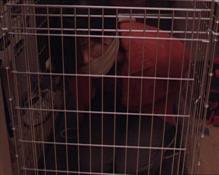 Charmed-Online-dot-213AnimalPragmatism1428.jpg