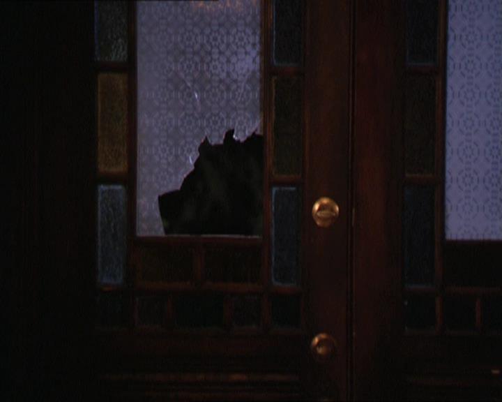 Charmed-Online-dot-213AnimalPragmatism1507.jpg