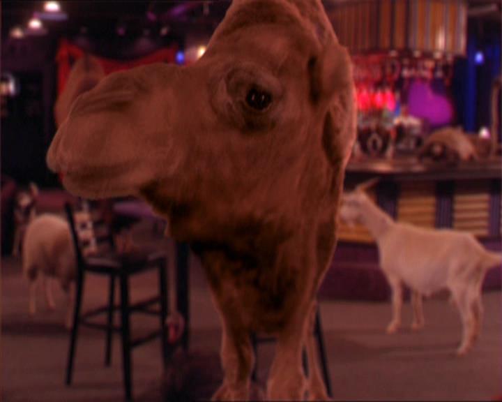 Charmed-Online-dot-213AnimalPragmatism1900.jpg