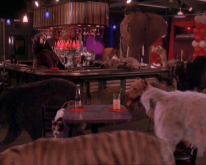 Charmed-Online-dot-213AnimalPragmatism1919.jpg