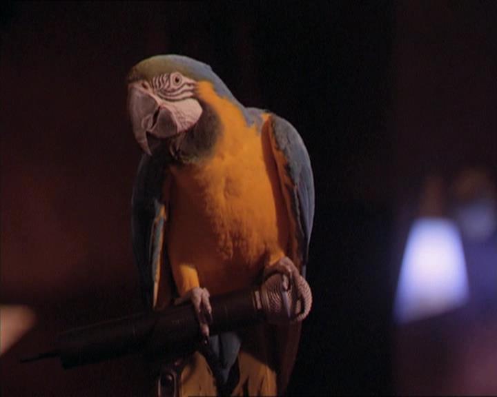 Charmed-Online-dot-213AnimalPragmatism1923.jpg