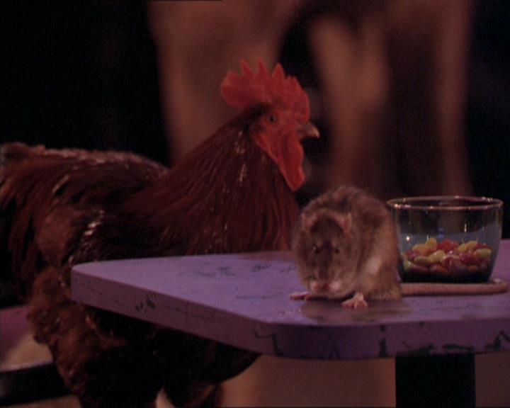 Charmed-Online-dot-213AnimalPragmatism1926.jpg