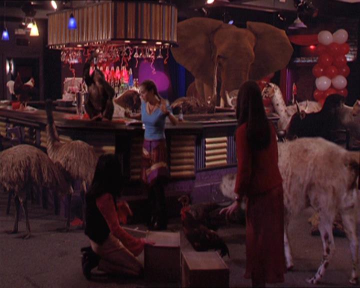 Charmed-Online-dot-213AnimalPragmatism1944.jpg