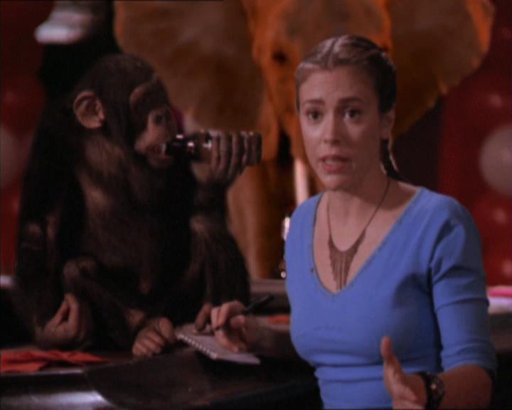 Charmed-Online-dot-213AnimalPragmatism1976.jpg
