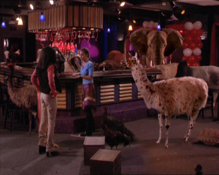 Charmed-Online-dot-213AnimalPragmatism1977.jpg