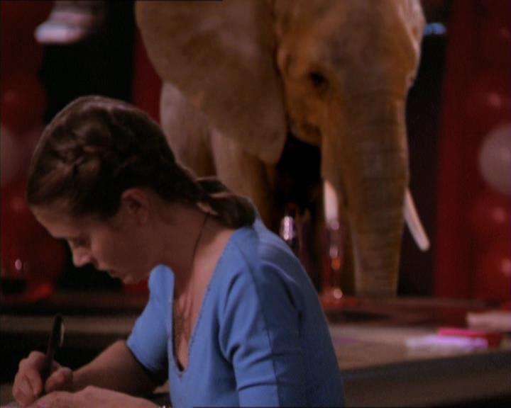 Charmed-Online-dot-213AnimalPragmatism1986.jpg