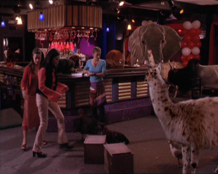 Charmed-Online-dot-213AnimalPragmatism1997.jpg