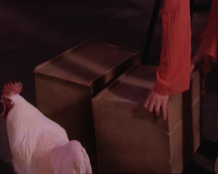 Charmed-Online-dot-213AnimalPragmatism1998.jpg