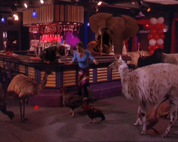 Charmed-Online-dot-213AnimalPragmatism2021.jpg