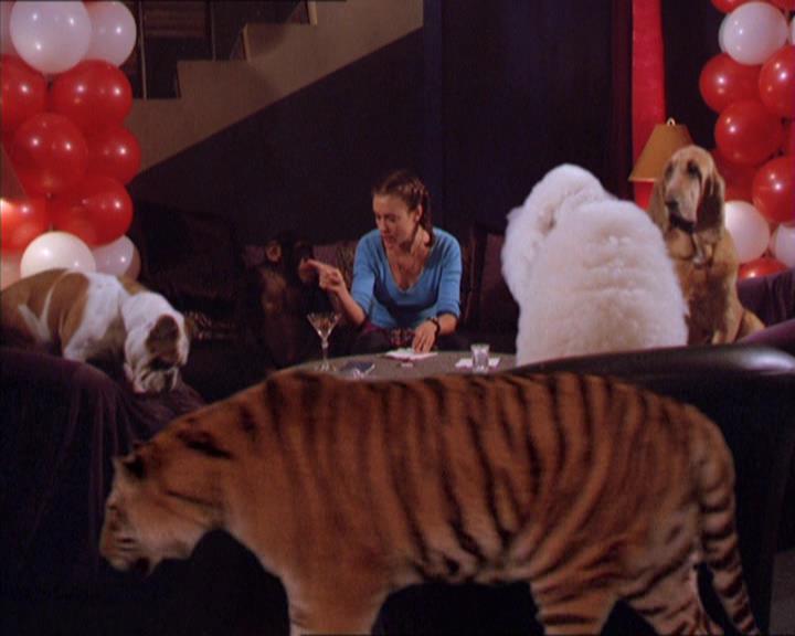 Charmed-Online-dot-213AnimalPragmatism2047.jpg