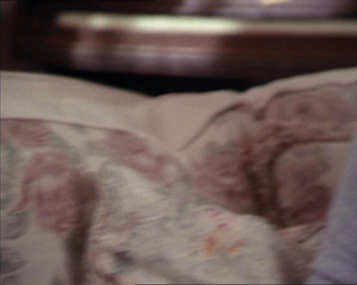 Charmed-Online-dot-214PardonMtPast0748.jpg