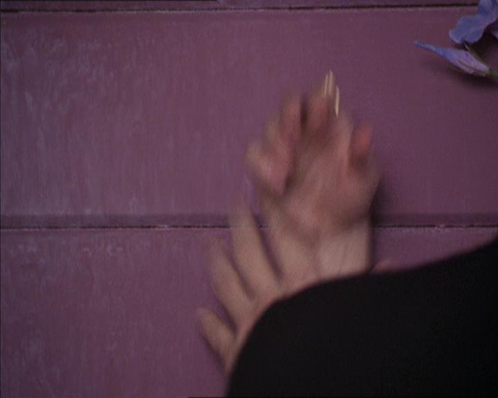 Charmed-Online-dot-214PardonMtPast0894.jpg