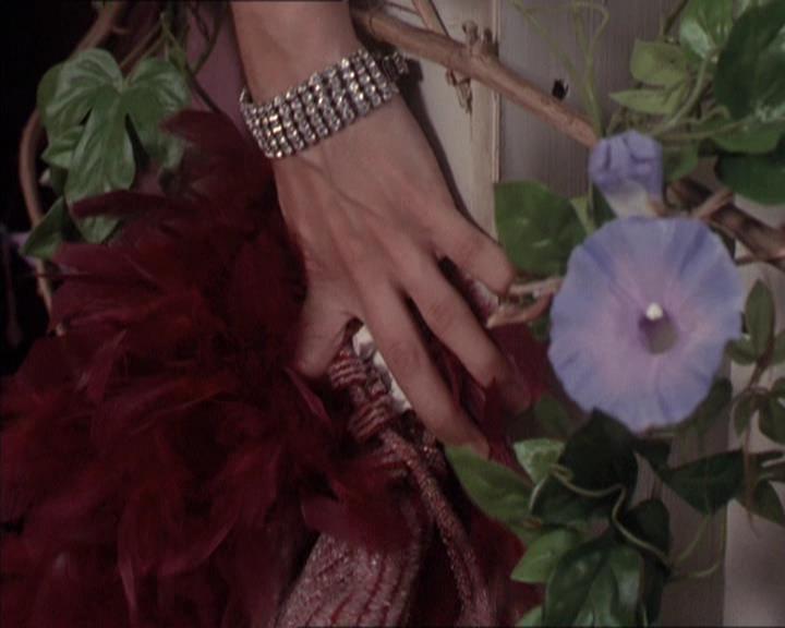 Charmed-Online-dot-214PardonMtPast0895.jpg