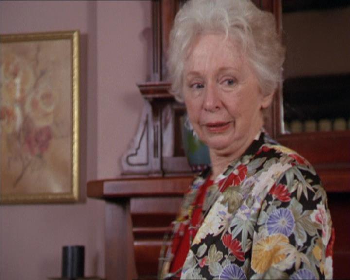 Charmed-Online-dot-217HowtoMakeAQuiltoutofAmericans0386.jpg