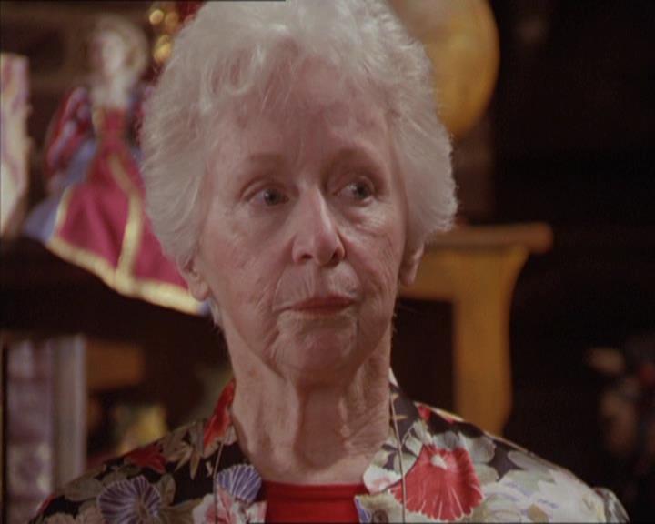 Charmed-Online-dot-217HowtoMakeAQuiltoutofAmericans0699.jpg
