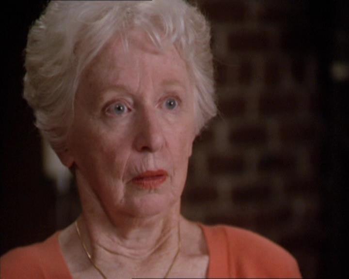 Charmed-Online-dot-217HowtoMakeAQuiltoutofAmericans0844.jpg