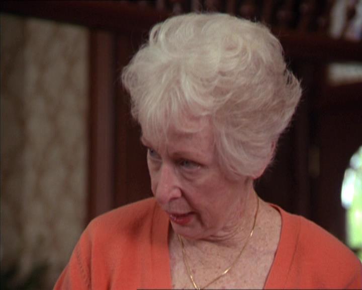 Charmed-Online-dot-217HowtoMakeAQuiltoutofAmericans1099.jpg