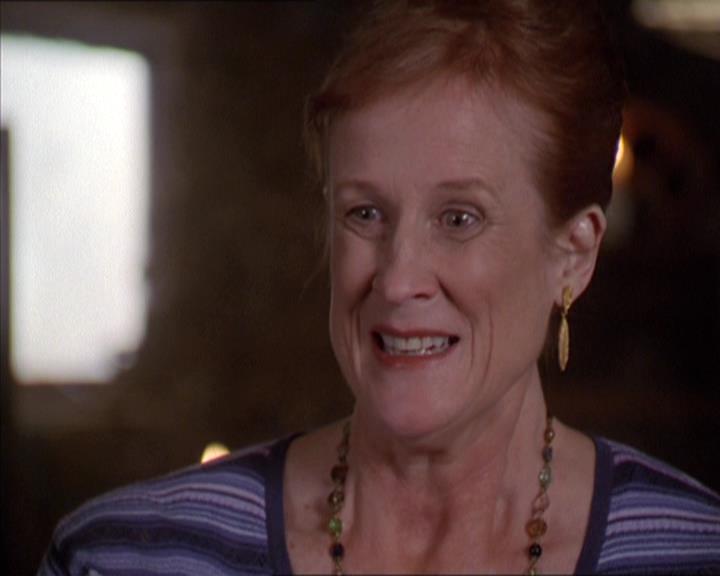 Charmed-Online-dot-217HowtoMakeAQuiltoutofAmericans1255.jpg