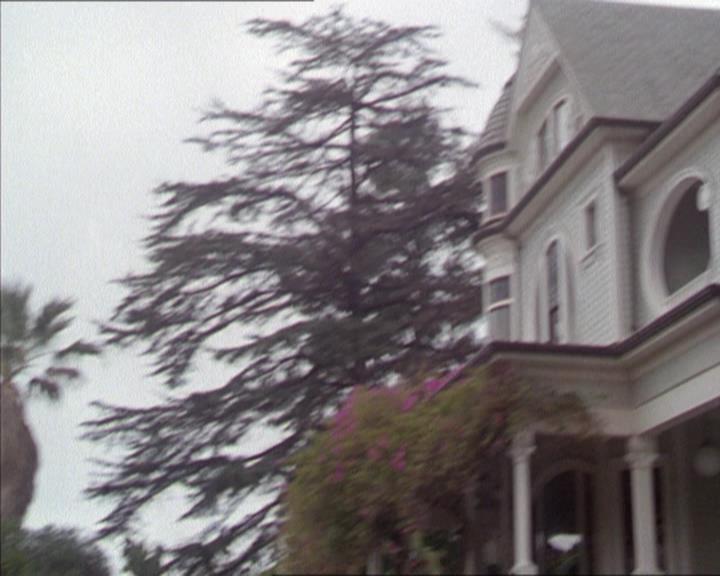 Charmed-Online-dot-217HowtoMakeAQuiltoutofAmericans1304.jpg