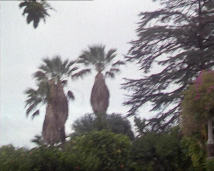 Charmed-Online-dot-217HowtoMakeAQuiltoutofAmericans1305.jpg