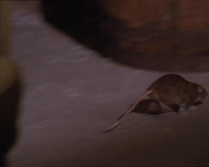 Charmed-Online-dot-217HowtoMakeAQuiltoutofAmericans1381.jpg