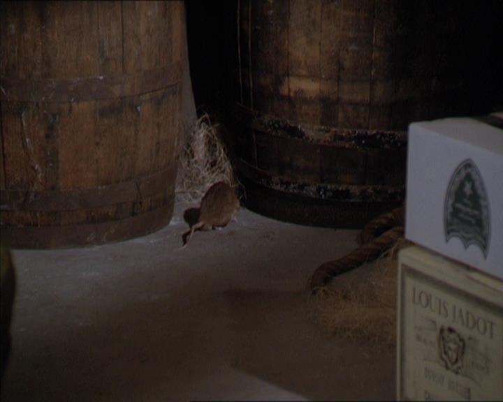 Charmed-Online-dot-217HowtoMakeAQuiltoutofAmericans1388.jpg