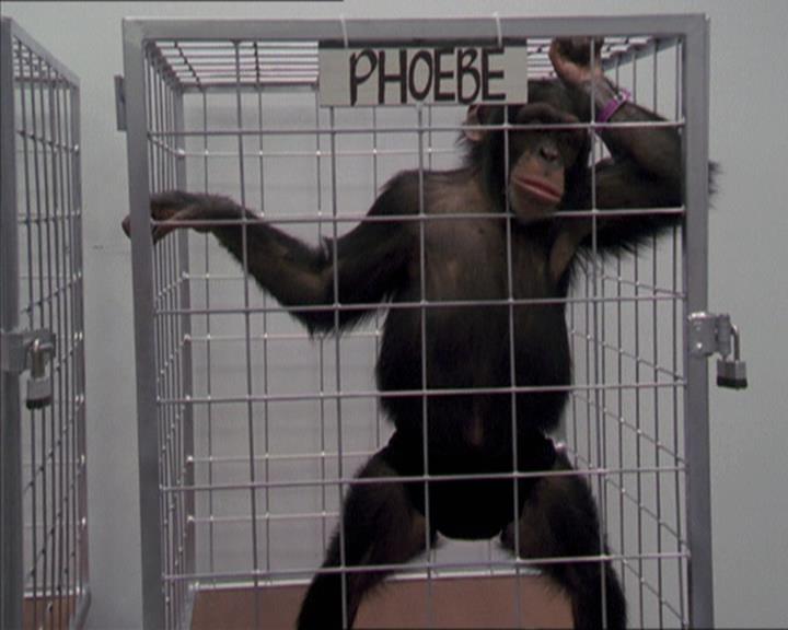 Charmed-Online-dot-220AstralMonkeys0153.jpg