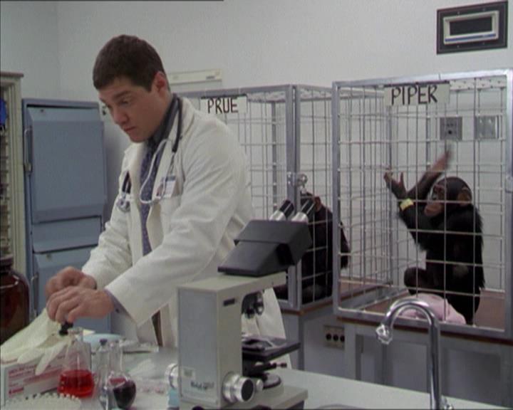 Charmed-Online-dot-220AstralMonkeys0193.jpg