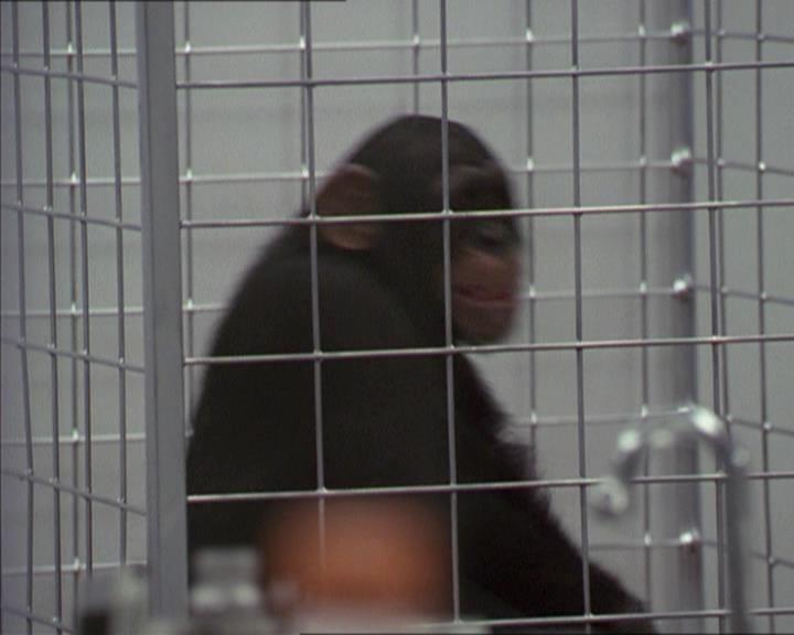 Charmed-Online-dot-220AstralMonkeys0211.jpg