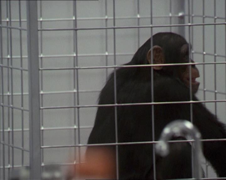 Charmed-Online-dot-220AstralMonkeys0212.jpg
