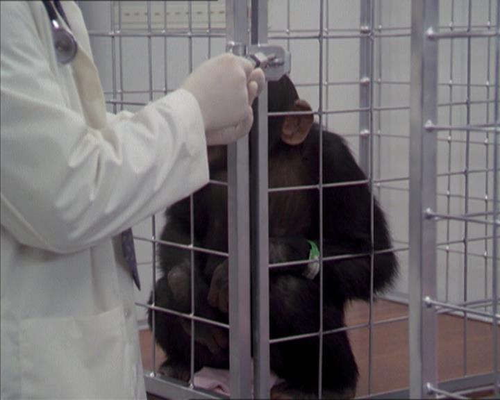 Charmed-Online-dot-220AstralMonkeys0227.jpg