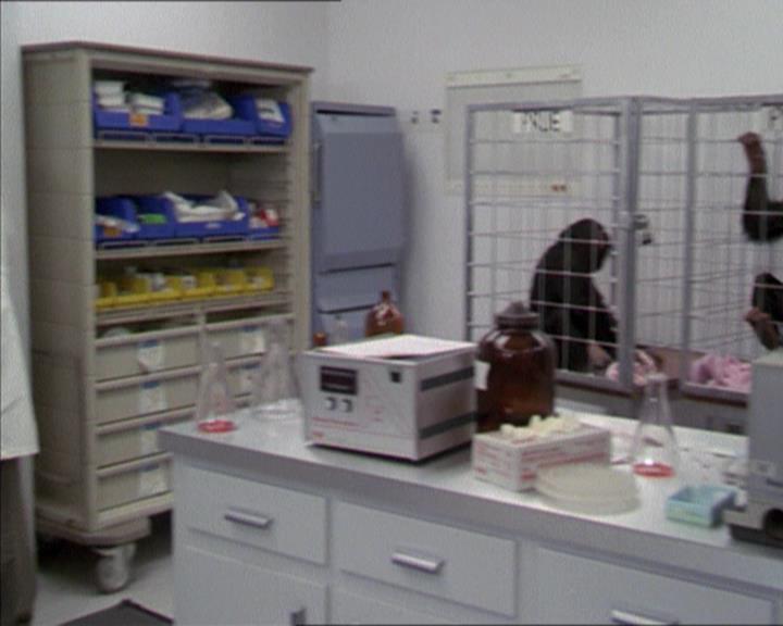 Charmed-Online-dot-220AstralMonkeys0327.jpg