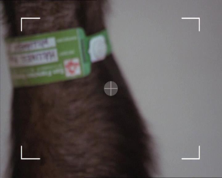 Charmed-Online-dot-220AstralMonkeys0660.jpg