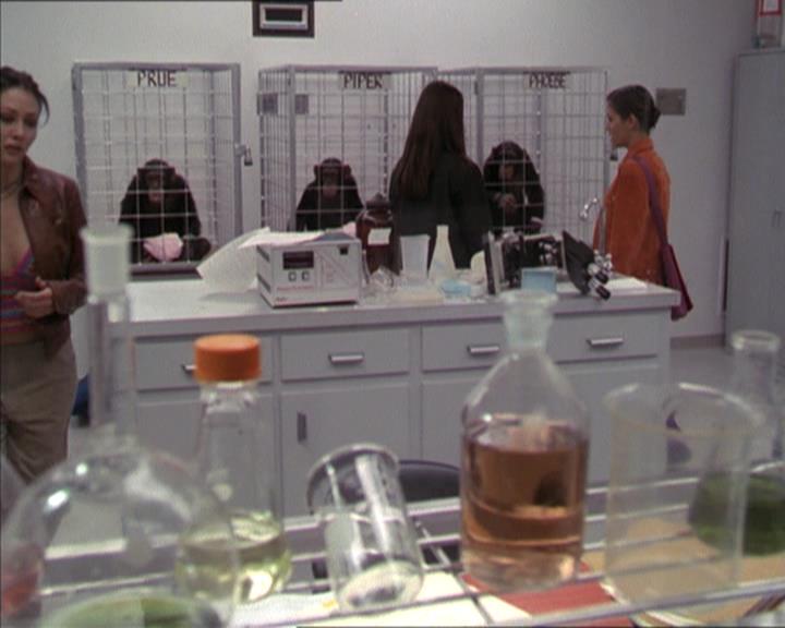Charmed-Online-dot-220AstralMonkeys0989.jpg