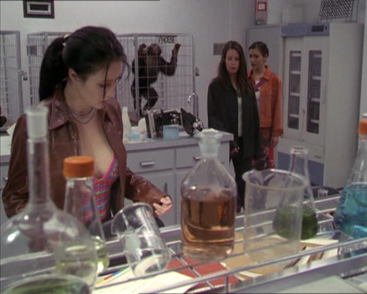 Charmed-Online-dot-220AstralMonkeys0991.jpg