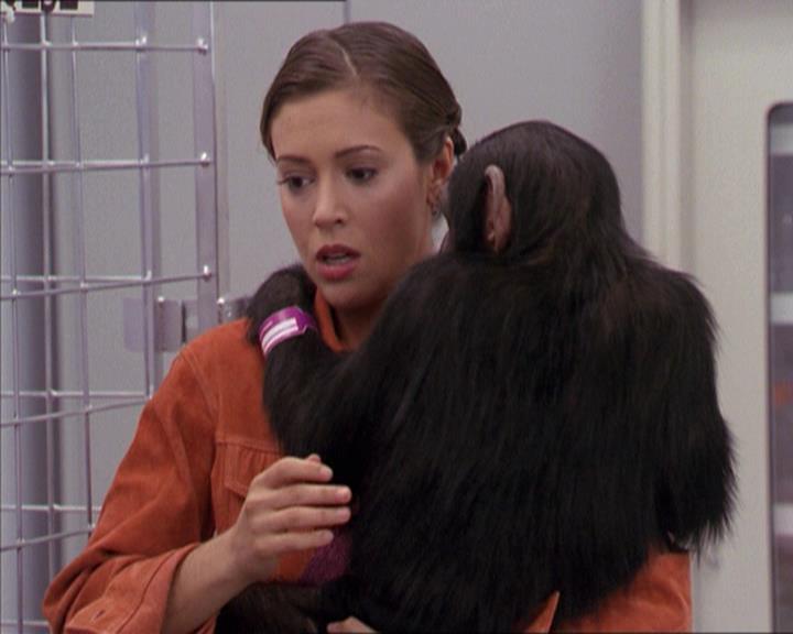 Charmed-Online-dot-220AstralMonkeys1055.jpg