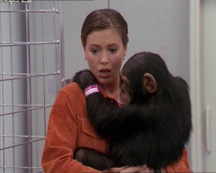 Charmed-Online-dot-220AstralMonkeys1057.jpg