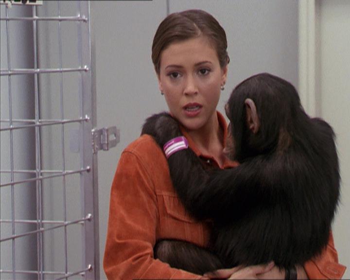 Charmed-Online-dot-220AstralMonkeys1058.jpg