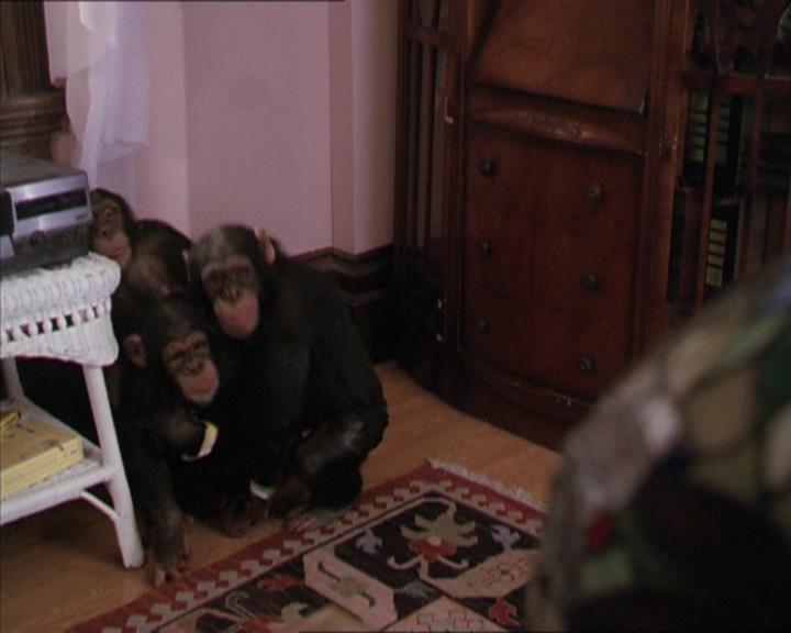 Charmed-Online-dot-220AstralMonkeys1360.jpg