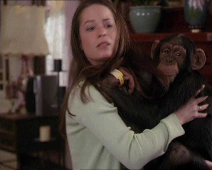 Charmed-Online-dot-220AstralMonkeys1379.jpg