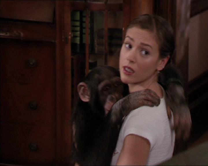 Charmed-Online-dot-220AstralMonkeys1387.jpg