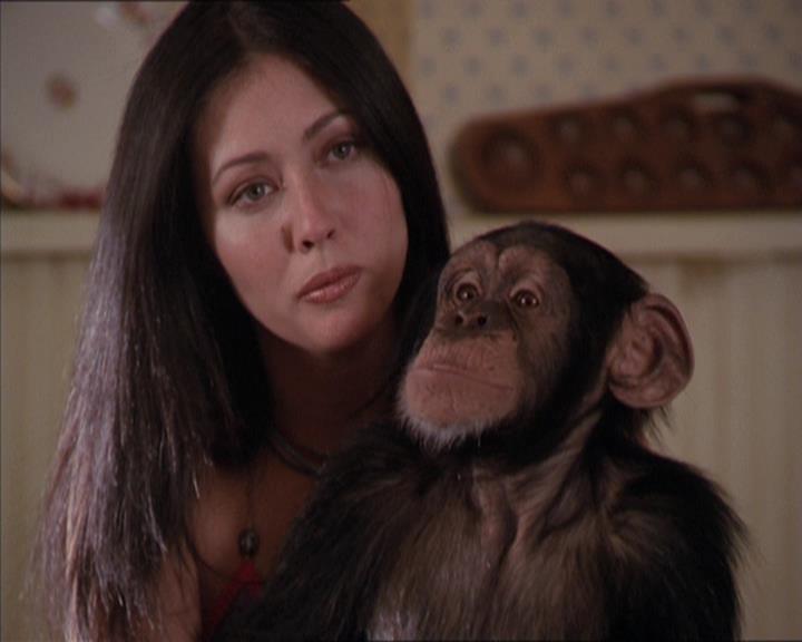 Charmed-Online-dot-220AstralMonkeys1459.jpg