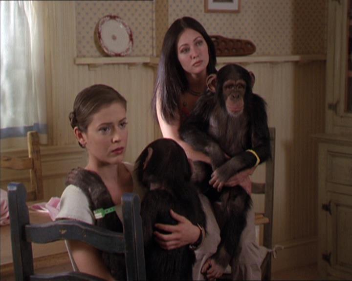 Charmed-Online-dot-220AstralMonkeys1476.jpg