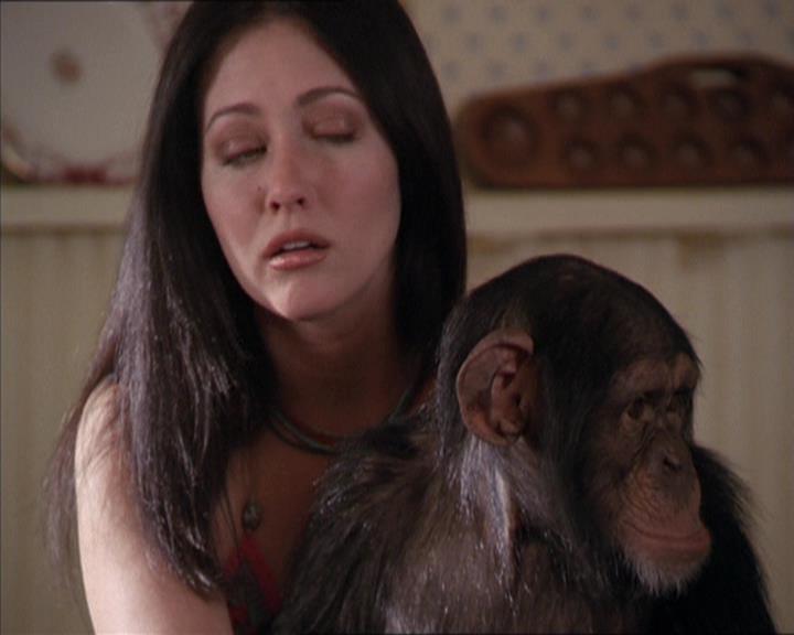 Charmed-Online-dot-220AstralMonkeys1498.jpg