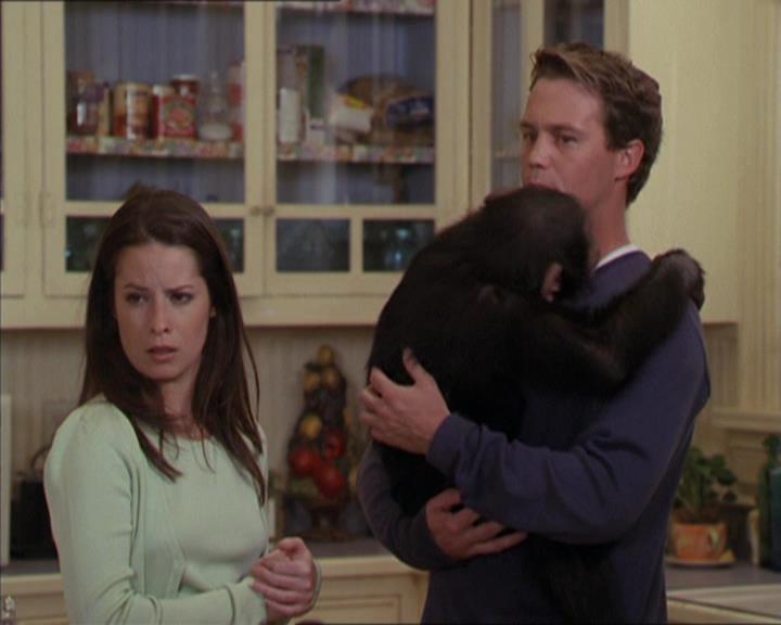 Charmed-Online-dot-220AstralMonkeys1505.jpg