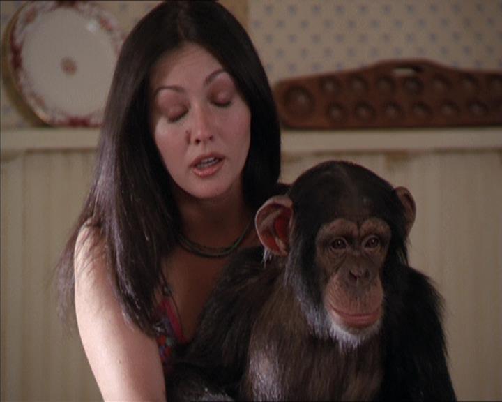 Charmed-Online-dot-220AstralMonkeys1509.jpg