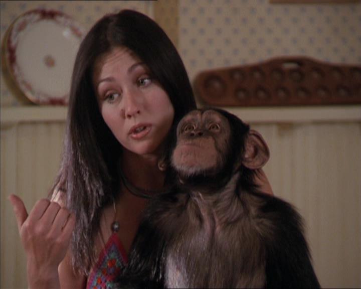 Charmed-Online-dot-220AstralMonkeys1511.jpg