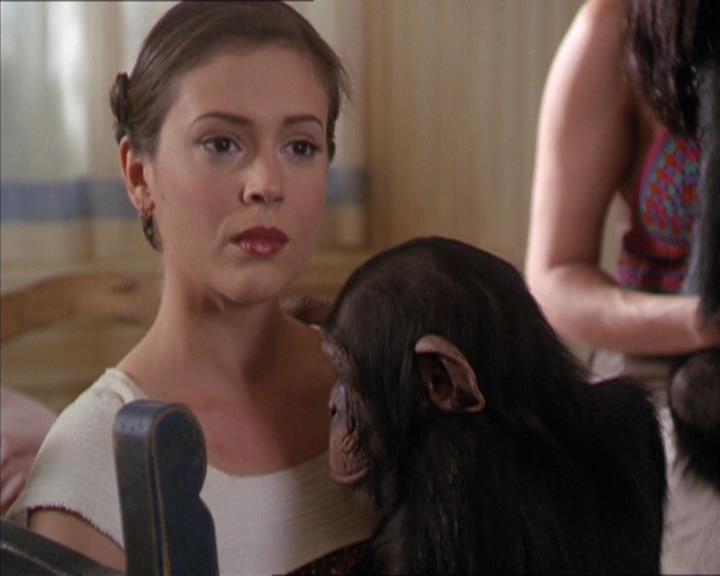 Charmed-Online-dot-220AstralMonkeys1516.jpg