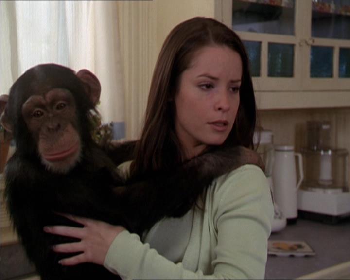 Charmed-Online-dot-220AstralMonkeys1685.jpg