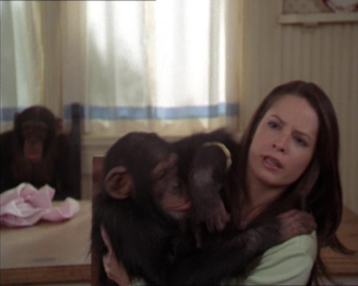 Charmed-Online-dot-220AstralMonkeys1696.jpg